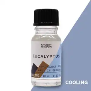 10ml Eucalyptus Fragrance Oil | www.artisangoods.co.uk 1