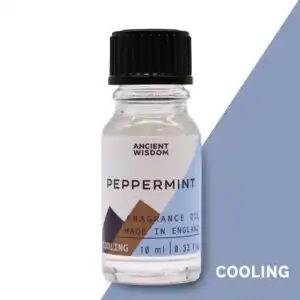 10ml Peppermint Fragrance Oil | www.artisangoods.co.uk 1