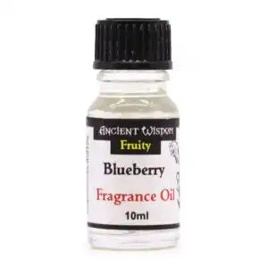 Blueberry Fragrance Oil 10ml | www.artisangoods.co.uk 1