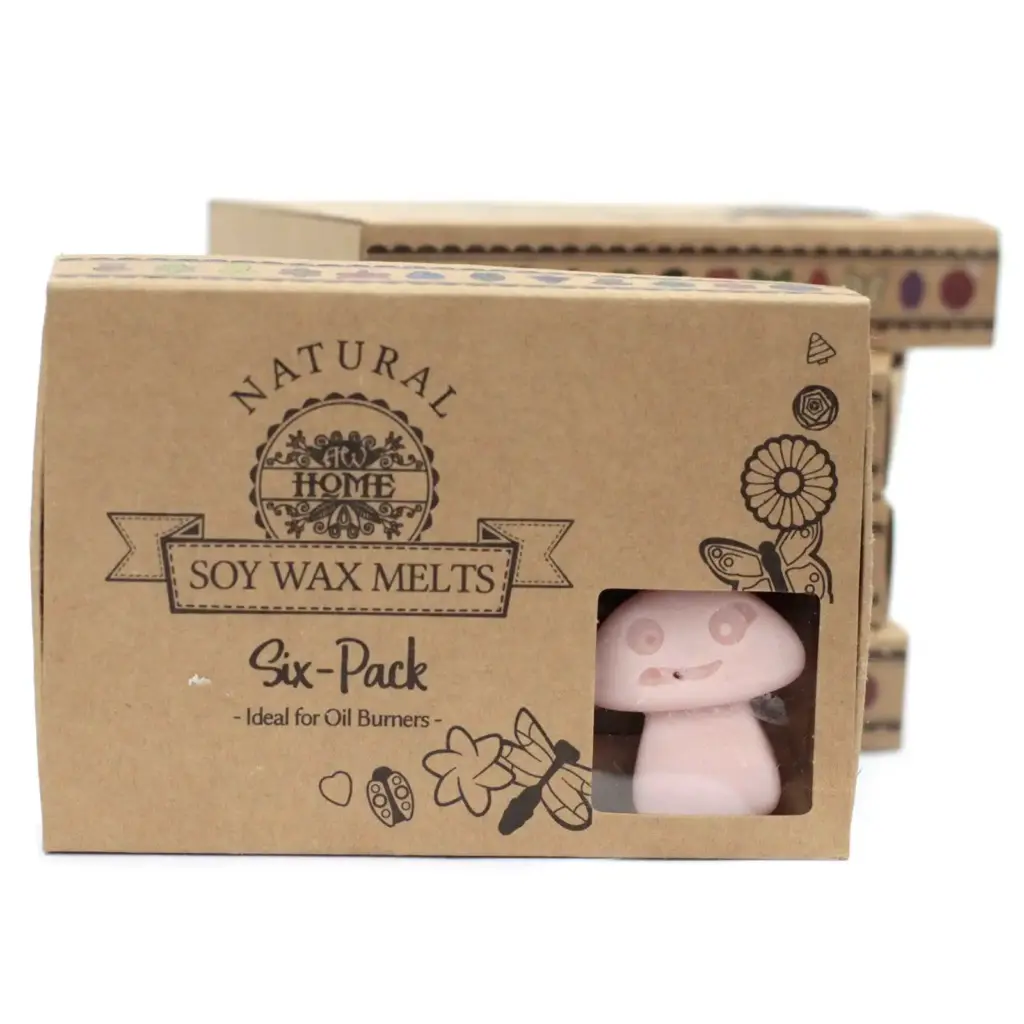 Box of 6  Wax Melts – Old Ginger | www.artisangoods.co.uk 6