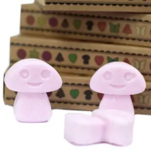 Box of 6  Wax Melts – Ylang Ylang | www.artisangoods.co.uk 4