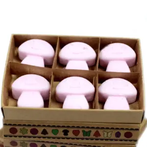 Box of 6  Wax Melts – Ylang Ylang | www.artisangoods.co.uk 3