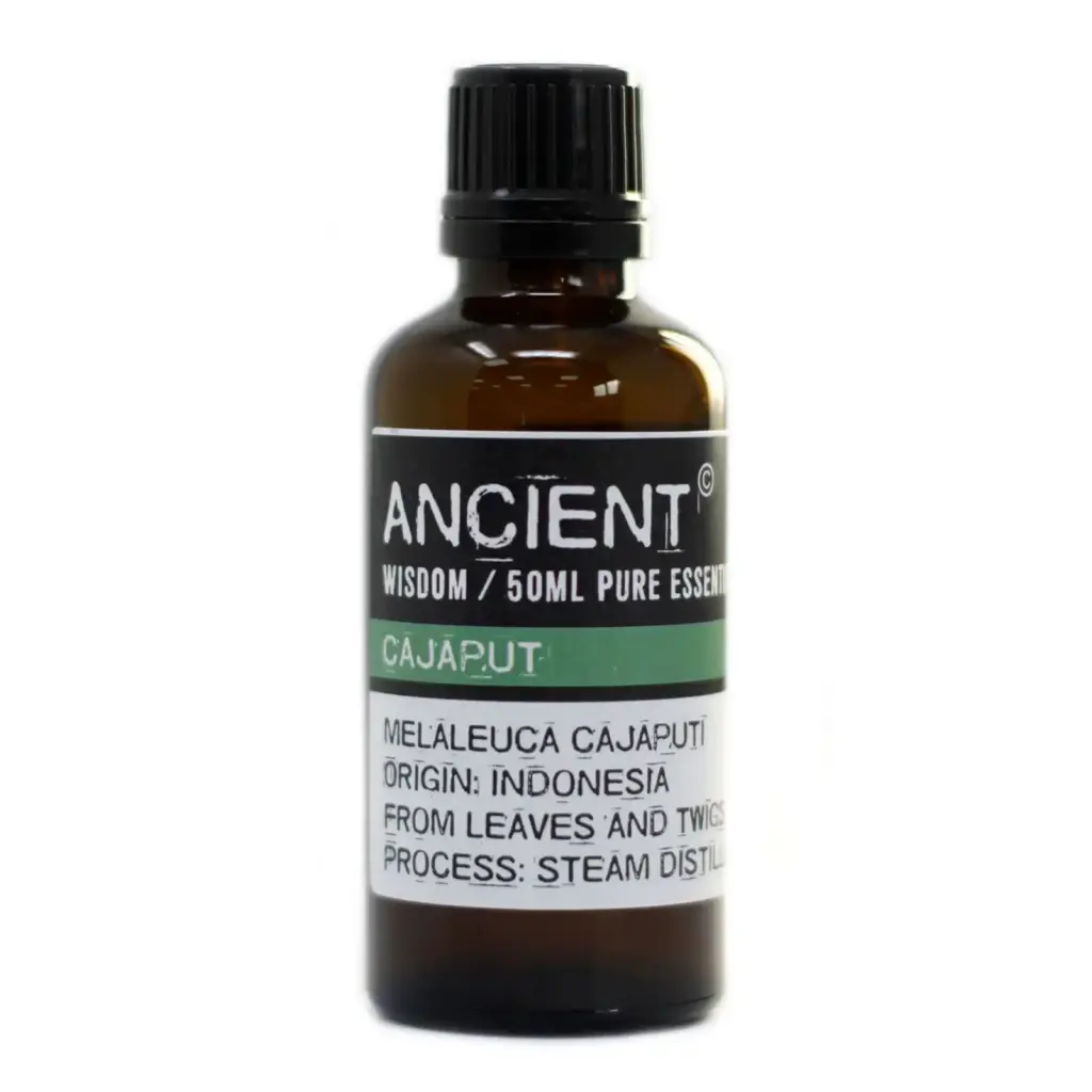 Cajaput Essential Oil 50ml | www.artisangoods.co.uk