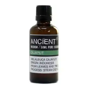 Cajaput Essential Oil 50ml | www.artisangoods.co.uk 1