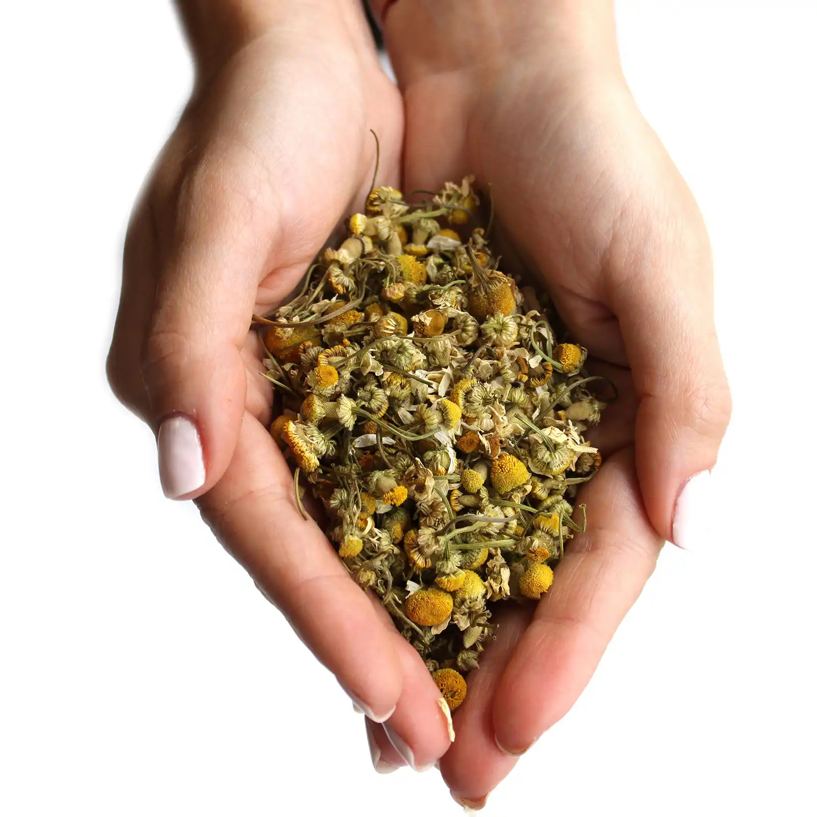 Chamomile Heads (1kg) | www.artisangoods.co.uk 3 Chamomile Heads (1kg) | www.artisangoods.co.uk 2