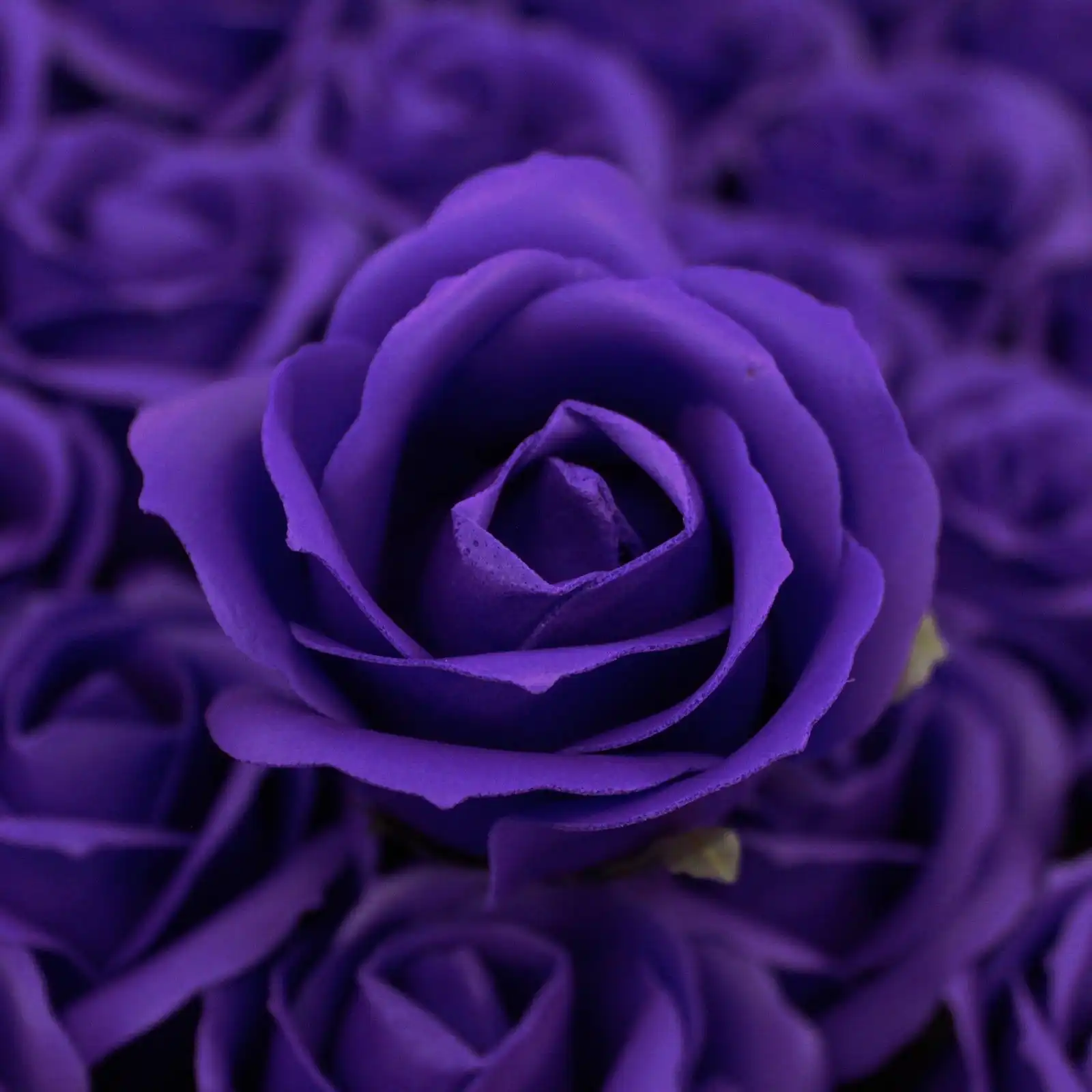 Craft Soap Flowers – Med Rose – Violet | www.artisangoods.co.uk 3 Craft Soap Flowers – Med Rose – Violet | www.artisangoods.co.uk 2