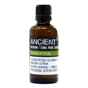 Eucalyptus Essential Oil 50ml | www.artisangoods.co.uk 1