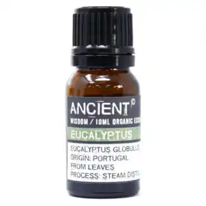 Eucalyptus Organic Essential Oil 10ml | www.artisangoods.co.uk Eucalyptus Organic Essential Oil 10ml | www.artisangoods.co.uk 1