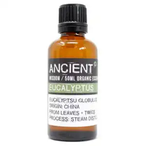 Eucalyptus Organic Essential Oil 50ml | www.artisangoods.co.uk Eucalyptus Organic Essential Oil 50ml | www.artisangoods.co.uk