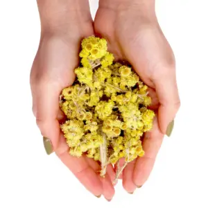 Everlasting Flowers (0.5KG) | www.artisangoods.co.uk 4