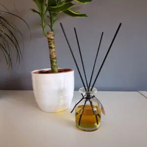 Fibre Black Reed Diffuser 25cm x 3mm | www.artisangoods.co.uk 3