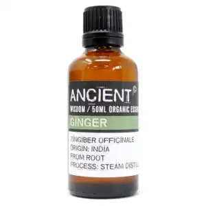 Ginger Organic Essential Oil 50ml | www.artisangoods.co.uk Ginger Organic Essential Oil 50ml | www.artisangoods.co.uk