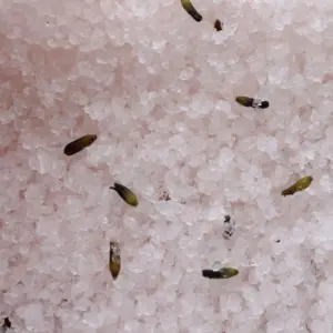 Himalayan Bath Salt Blend 500g – Relax | www.artisangoods.co.uk 5
