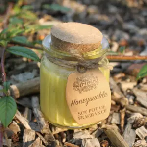 Honeysuckle Soy Pot of Fragrance Candles | www.artisangoods.co.uk 5