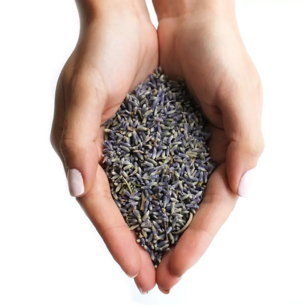 Lavender Flowers  (1KG) | www.artisangoods.co.uk 3