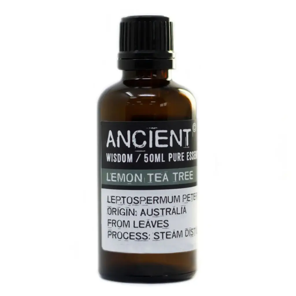 Lemon Tea Tree Essential Oil 50ml | www.artisangoods.co.uk