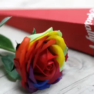 Luxury Soap Flower – Rainbow | www.artisangoods.co.uk 4