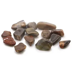 M Tumble Stone – Petrified Wood | www.artisangoods.co.uk