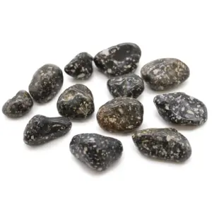 Medium African Tumble Stones – Guinea Fowl Medium | www.artisangoods.co.uk