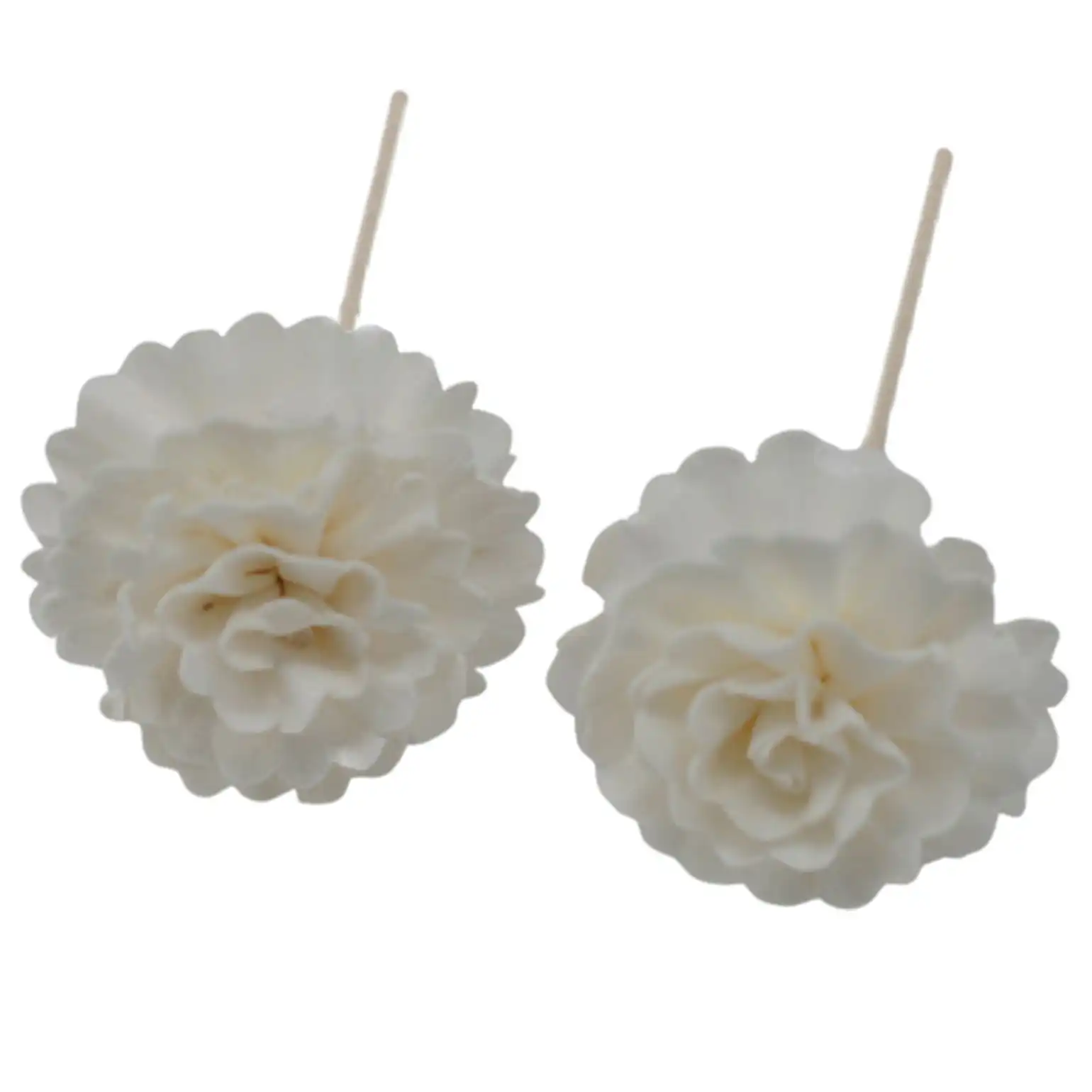 Natural Diffuser Flowers – Carnation on Reed | www.artisangoods.co.uk 4 Natural Diffuser Flowers – Carnation on Reed | www.artisangoods.co.uk 3