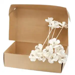 Natural Diffuser Flowers
