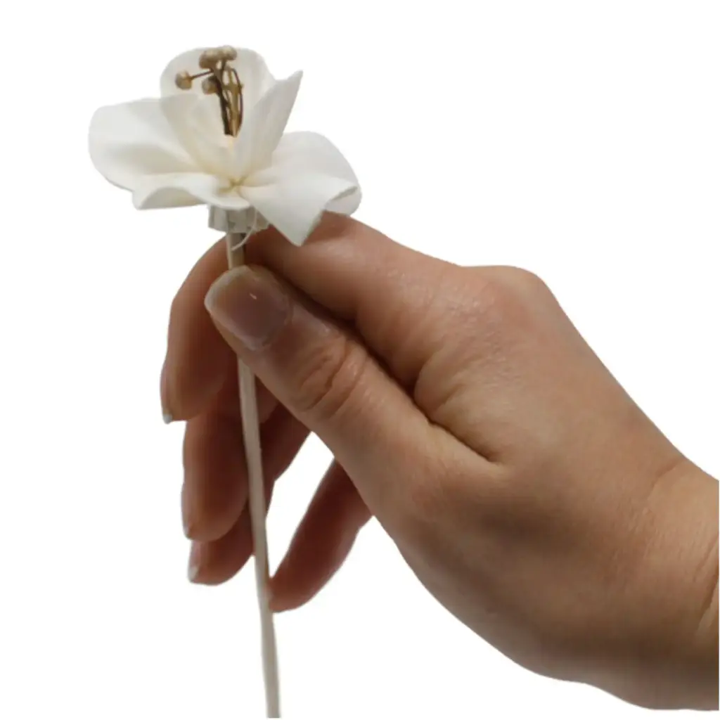 Natural Diffuser Flowers – Lily on Reed | www.artisangoods.co.uk