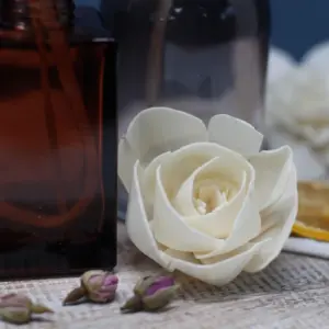 Natural Diffuser Flowers – Med Carnation on String | www.artisangoods.co.uk 9