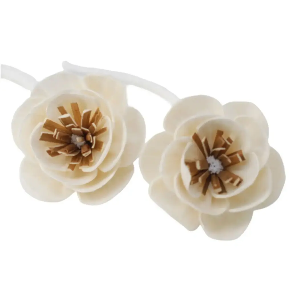 Natural Diffuser Flowers – Small Poppy on String | www.artisangoods.co.uk 3