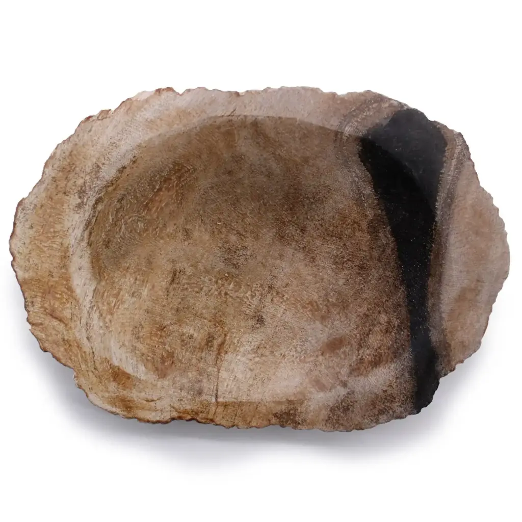 Petrified Wood Black Soap Dish | www.artisangoods.co.uk 5