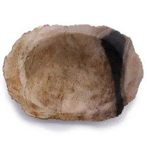 Petrified Wood Black Soap Dish | www.artisangoods.co.uk 5