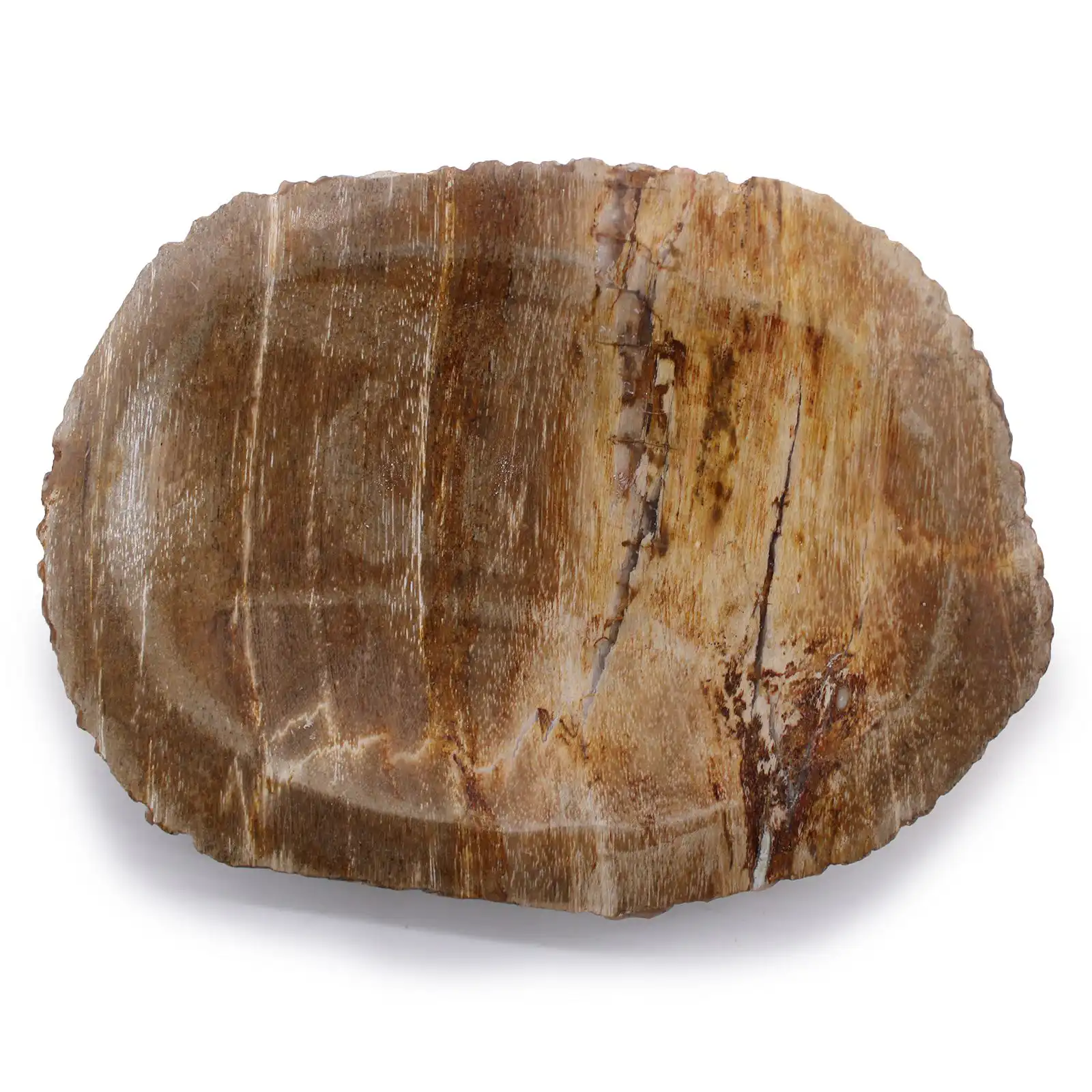 Petrified Wood Brown Soap Dish | www.artisangoods.co.uk 3 Petrified Wood Brown Soap Dish | www.artisangoods.co.uk 2