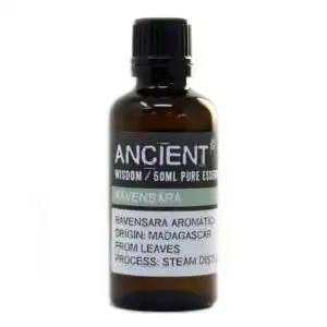 Ravensara Essential Oil 50ml | www.artisangoods.co.uk 1