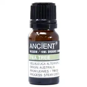Tea Tree Organic Essential Oil 10ml | www.artisangoods.co.uk Tea Tree Organic Essential Oil 10ml | www.artisangoods.co.uk 1