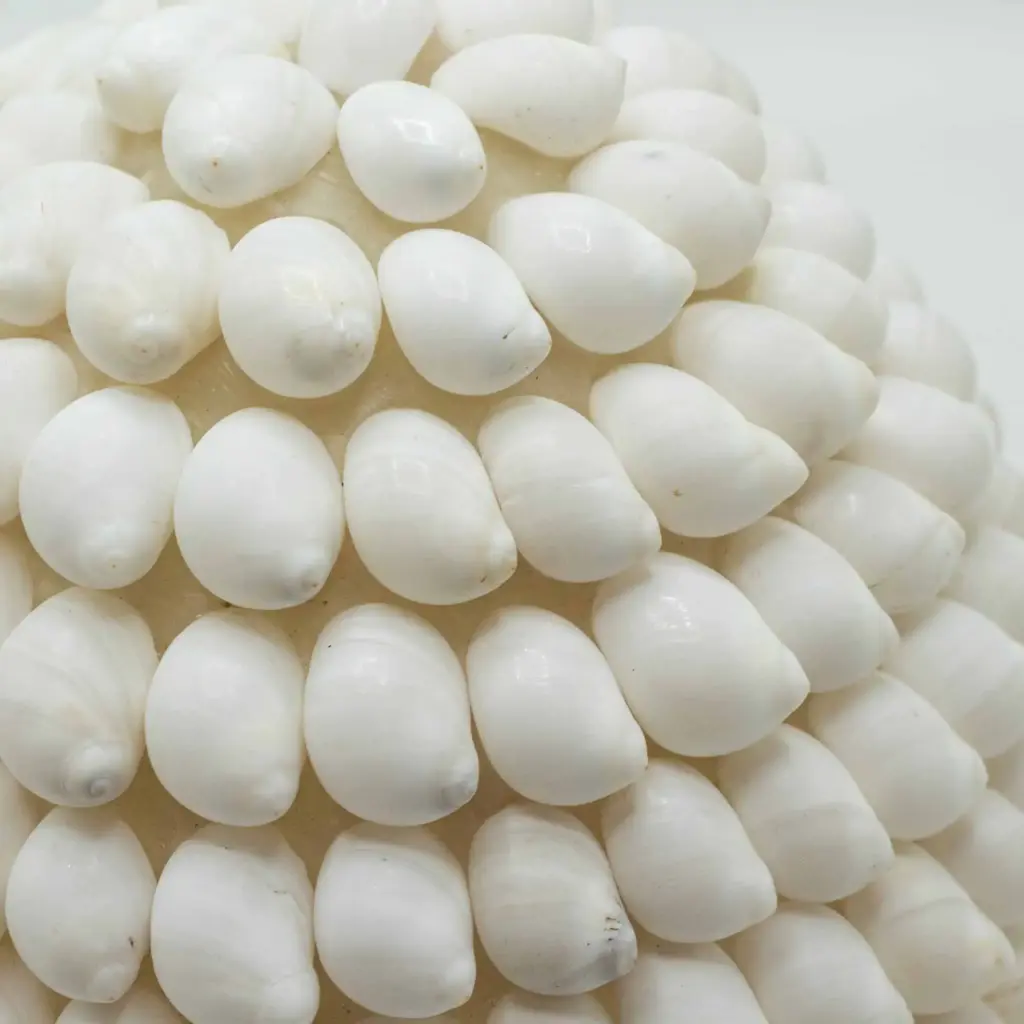 Boho Sea Shell Lamp – Buting Shell Oval – 15cm | www.artisangoods.co.uk 3 Boho Sea Shell Lamp – Buting Shell Oval – 15cm | www.artisangoods.co.uk 3
