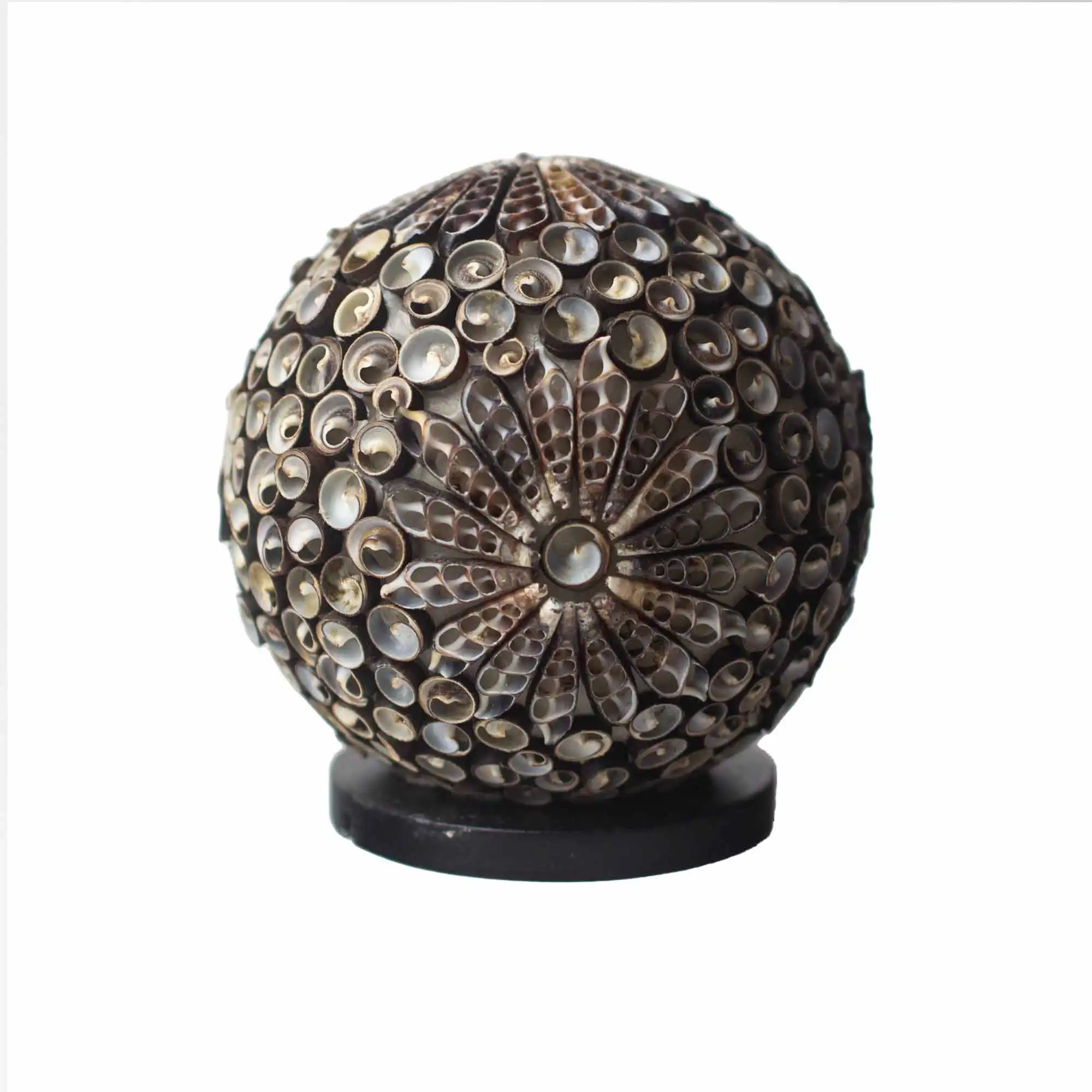 Boho Sea Shell Lamp – Chocolate Twist Globe – 15cm | www.artisangoods.co.uk 2 Boho Sea Shell Lamp – Chocolate Twist Globe – 15cm | www.artisangoods.co.uk 1