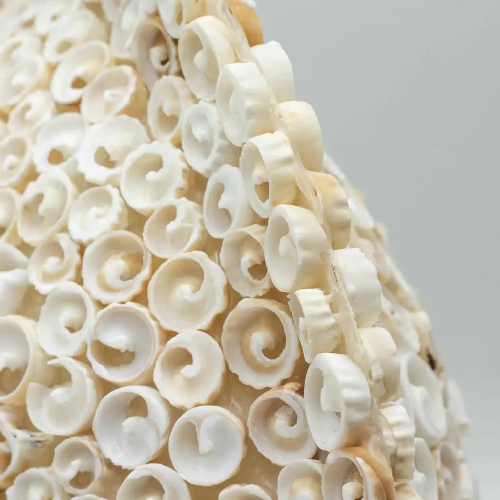 Boho Sea Shell Lamp – Cut Art Shell Large Round – 30cm | www.artisangoods.co.uk 4 Boho Sea Shell Lamp – Cut Art Shell Large Round – 30cm | www.artisangoods.co.uk 4