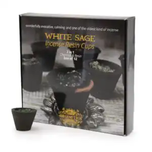 Box of 12 Resin Cups – White Sage | www.artisangoods.co.uk 1