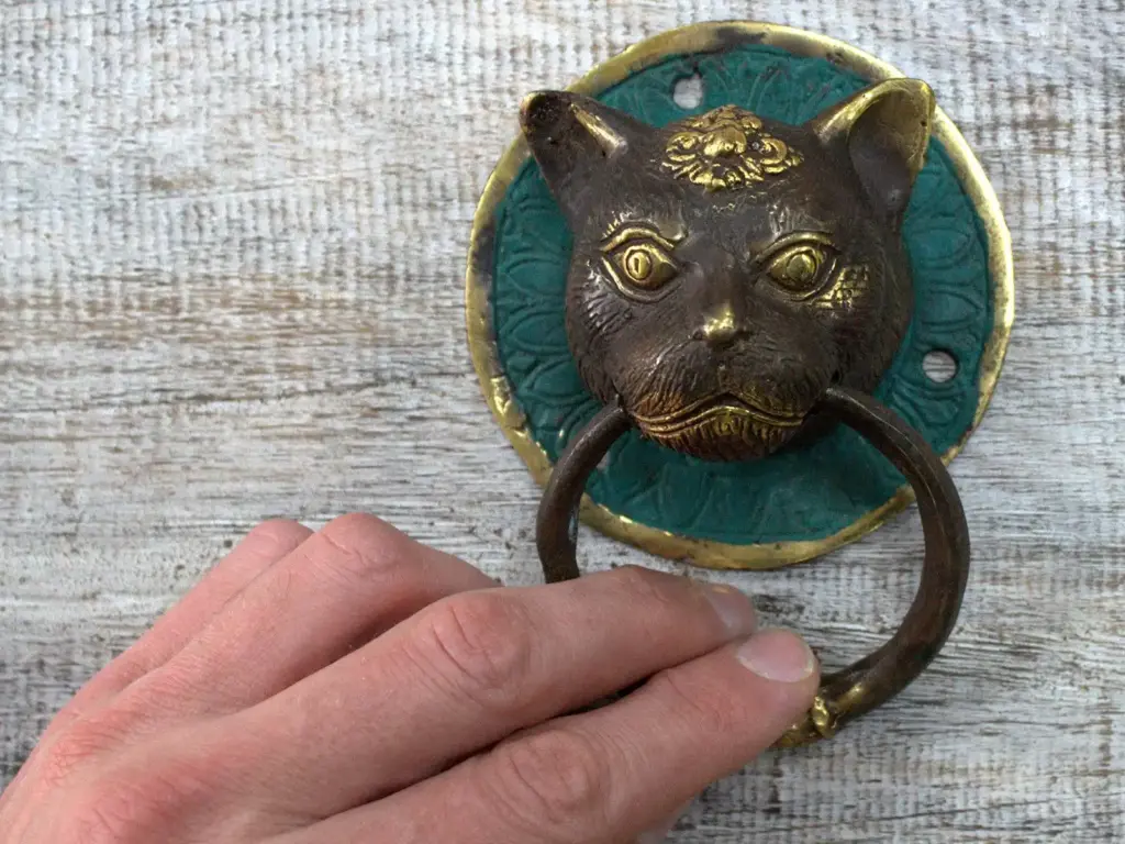 Brass Door Knocker – Cats Head | www.artisangoods.co.uk 4