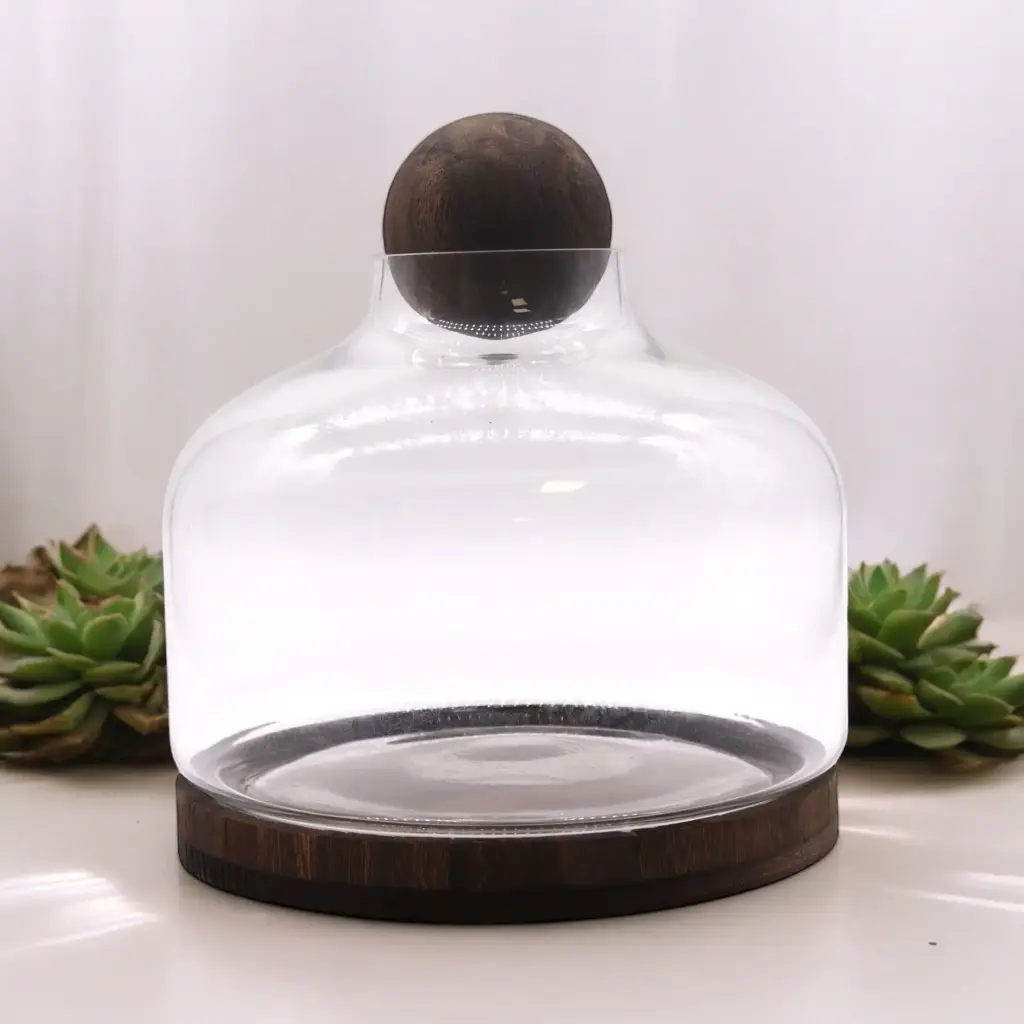 Ex-Large Ball Top Terrarium on Dark Tung Wood | www.artisangoods.co.uk 3