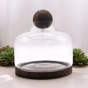 Ex-Large Ball Top Terrarium on Dark Tung Wood | www.artisangoods.co.uk 3