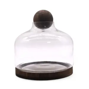 Ex-Large Ball Top Terrarium on Dark Tung Wood | www.artisangoods.co.uk 2