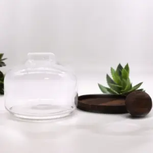Ex-Large Ball Top Terrarium on Dark Tung Wood | www.artisangoods.co.uk 4