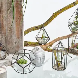 Glass Terrarium – Cube on Corner | www.artisangoods.co.uk 4
