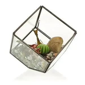 Glass Terrarium – Cube on Corner | www.artisangoods.co.uk 3