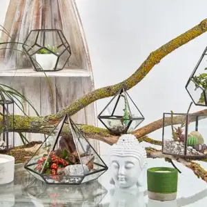 Glass Terrarium – Cube on Corner | www.artisangoods.co.uk 5