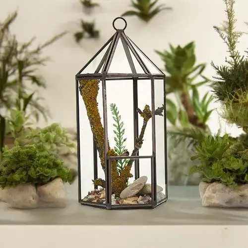 Glass Terrarium – Lantern Shape | www.artisangoods.co.uk 2 Glass Terrarium – Lantern Shape | www.artisangoods.co.uk 1