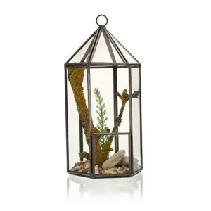 Glass Terrarium – Lantern Shape | www.artisangoods.co.uk 3