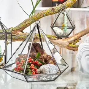 Glass Terrarium – Large Diamond | www.artisangoods.co.uk 5