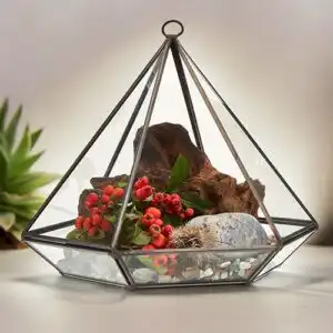 Glass Terrarium – Large Diamond | www.artisangoods.co.uk 1