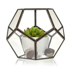 Glass Terrarium – Large Octagon | www.artisangoods.co.uk 3